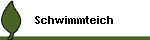 Schwimmteich