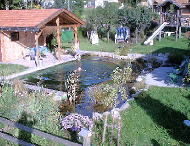 Teichbau am Gartenhaus