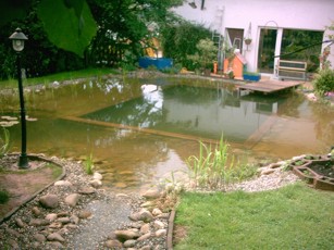 Teichbilder Teich Bild 5
