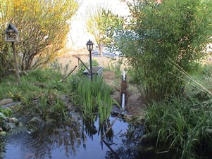 Teichbilder Teich Bild 1